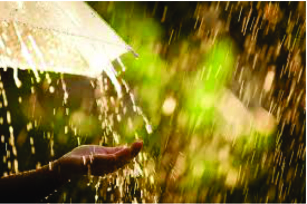 CHUVA, MÚSICA E PERFUME